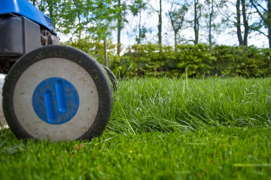 lawnmower, nature, gardening, lawn-mower, lawn-mower chassis, lawn, grass, cutting, gardener, equipment, hdr, summer, work, hobby, garden, machine, backyard, mower, maintenance, lawn mower, yard, green work, green gardening, lawnmower, lawnmower, lawnmower, lawnmower, lawnmower, lawn, backyard, lawn mower